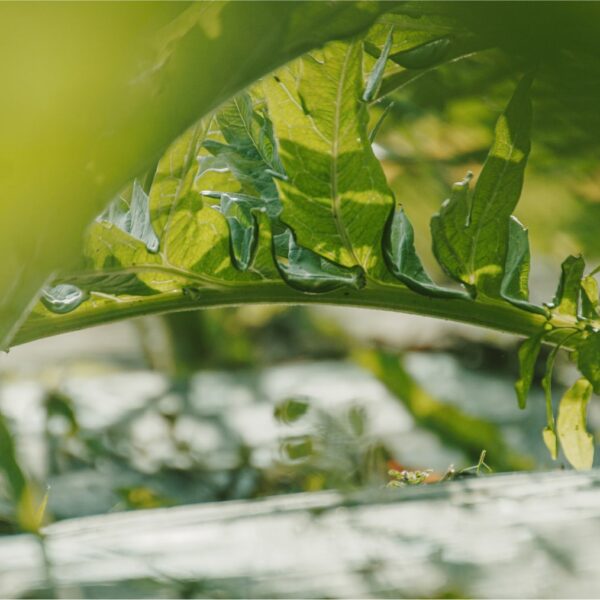 DSC01573 copy-min DSC01573 copy-min